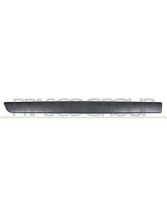 Barra Protectora para Puerta Delantera Izquierda Negra       