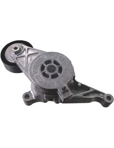 SKF VKM 31054 Kit tensor multi-V       