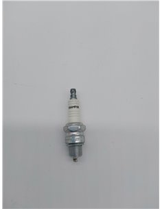 Greenstar 24480 - Vela Champion RL82YC        2
