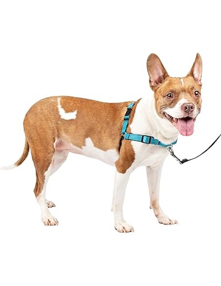 PetSafe Easy Walk Deluxe Arnés Antitirones para Perros, Adiestramiento de Perros, Evita Asfixia, Azul, Mediano, M       