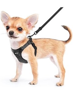 Wdmiya Arnes Perro Pequeño Mediano, Arnes Ajustable con Correa, Chaleco Cómodo Transpirable, Chaleco Lindo con Patrón de Corazón