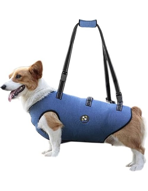 Coodeo Arnés de Elevación para Perros, Soporte para Mascotas Y Rehabilitación Correas Transpirables Acolchadas Ajustables para P