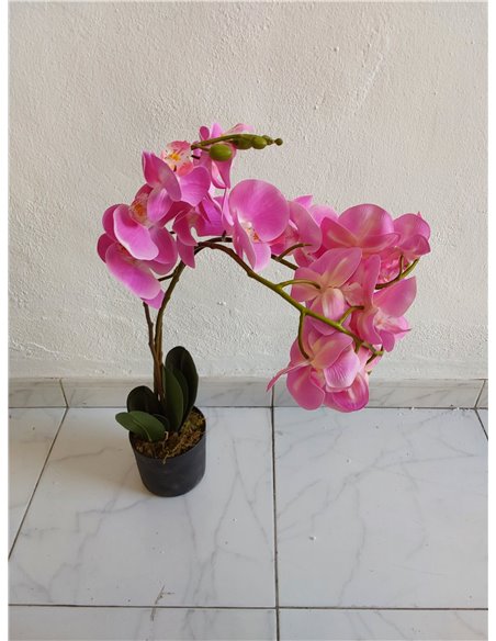 Leaf Hoja Realista orquídea Artificial diseño de Plantas UK (60 cm Grande, Rosa Claro