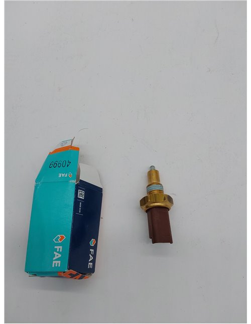 FAE 40999 Interruptores       