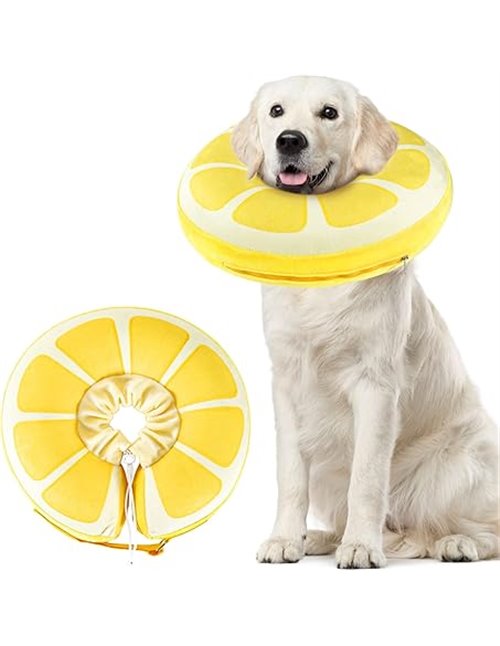 SuplutuX Collar isabelino Inflable