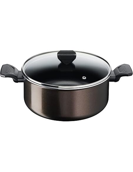 TEFAL B5544602 Easy Cook&Clean Faitout 24cm (4