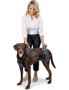 PetSafe Carelift