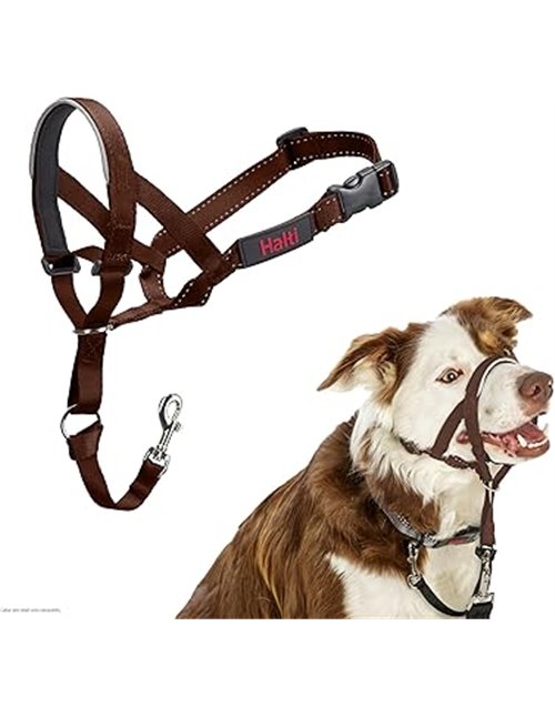 Collar Ronzal HALTI - para Evitar Que tu Perro Tire de la Correa