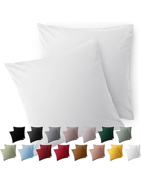 Blumtal Fundas de Almohada 50x50 cm (Juego de 2) - Fundas de cojín de Microfibra para sofá con Cremallera