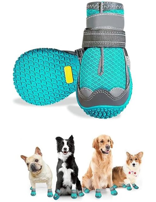 Havenfly Zapatos Perro