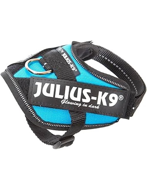 Julius-K9