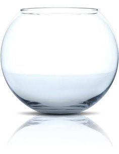 Amtra Pecera Globo Cristal 25 Dia
