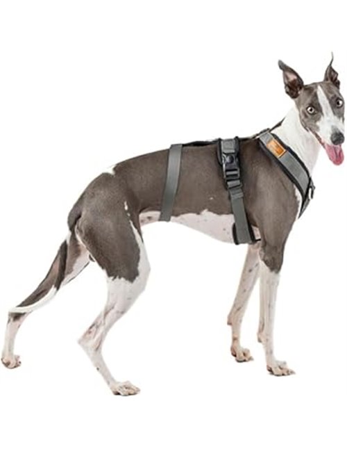 Arnés de 3 Puntos Antiescape Antitirones - Ideal para Lebreles: Galgo Italiano