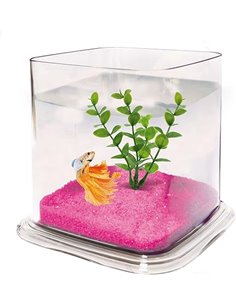 ICA PT072A Bettera Betta Paradise Transparente