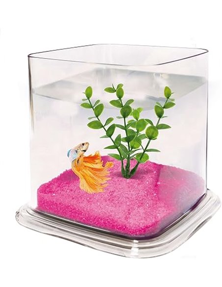 ICA PT072A Bettera Betta Paradise Transparente