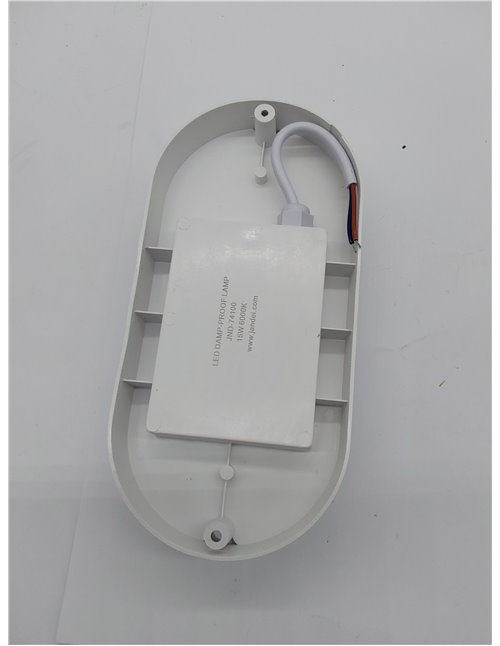 Jandei - Lampara Pared, Montaje Enrasado Superficie Lámpara Ovalada Segurid, 6000K Blanco Frío, IP65 Hidrófuga, Interior, Exteri