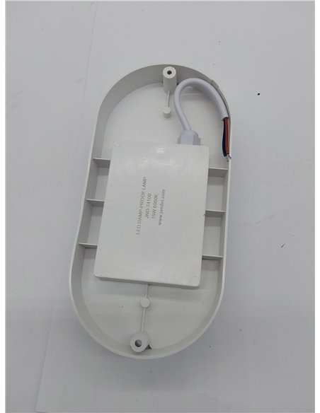 Jandei - Lampara Pared, Montaje Enrasado Superficie Lámpara Ovalada Segurid, 6000K Blanco Frío, IP65 Hidrófuga, Interior, Exteri