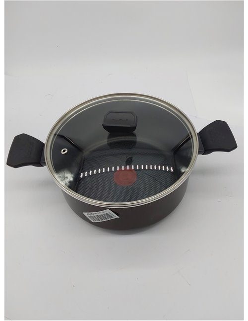 TEFAL B5544602 Easy Cook&Clean Faitout 24cm (4,7L) + couv, Antiadhésif, Thermo-Signal™, Tous feux sauf induction, Fabriqué e