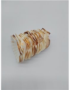 Finoly Conchas de Vieira Natural Grandes Pack 4/8/12/16 Unidades para Cocina Decoración | Conchas de Vieiras Grandes Manualidade 2