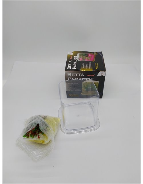 ICA PT072A Bettera Betta Paradise Transparente, 13,5x15x15 cm, 1,9L, Grava y Planta Plástica Incluidas 