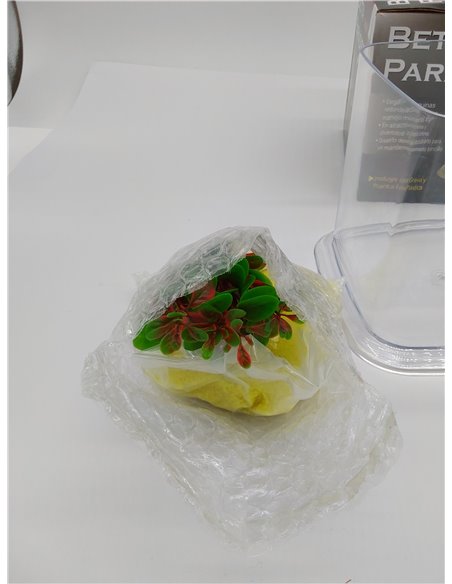 ICA PT072A Bettera Betta Paradise Transparente, 13,5x15x15 cm, 1,9L, Grava y Planta Plástica Incluidas 