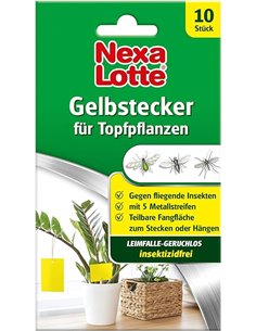 Nexa Lotte Lote de 10 trampas Amarillas, sin insecticidas, encoladas por Ambos Lados para Proteger Plantas Ornamentales.