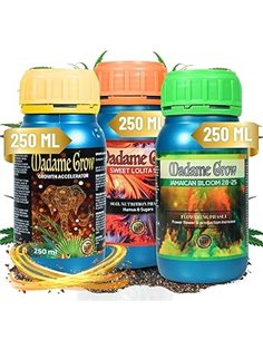 MADAME GROW fertilizante 420 plantas verdes - abono plantas verdes - abono liquido para plantas - fertilizante crecimiento unive