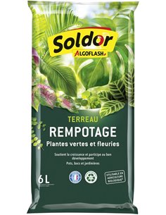 Algoflash Terranau - Recargote, Verdes y Plantas Flories 6 L, Transparente