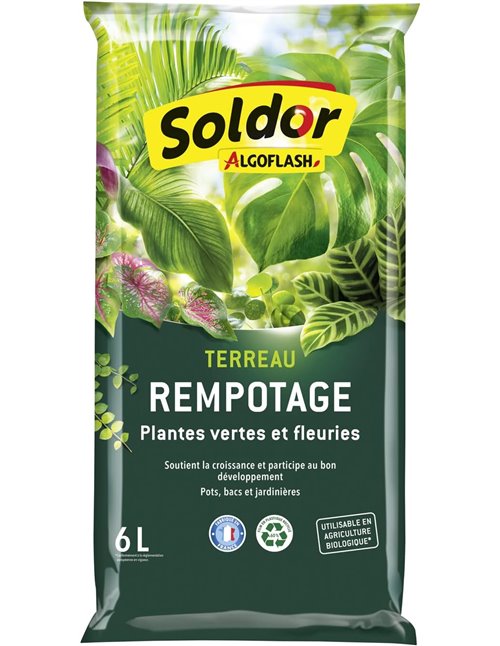 Algoflash Terranau - Recargote, Verdes y Plantas Flories 6 L, Transparente