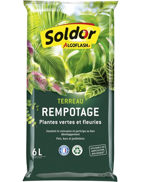 Algoflash Terranau - Recargote, Verdes y Plantas Flories 6 L, Transparente