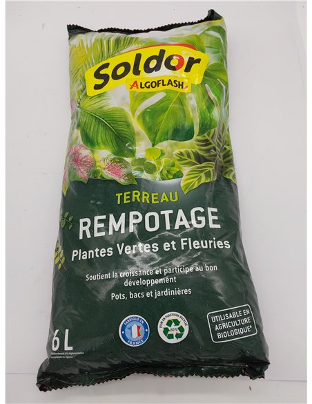Algoflash Terranau - Recargote, Verdes y Plantas Flories 6 L, Transparente