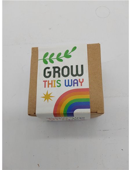 Grow This Way – Kit de Autocultivo Mix de Flores | Actividad Educativa | Ideal para Regalar | Resetea