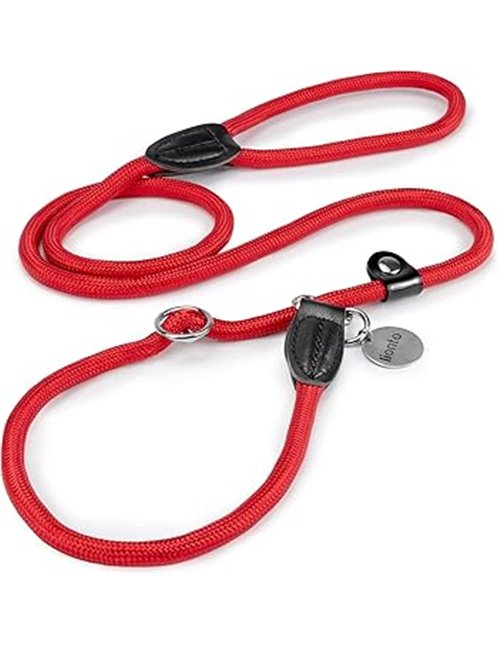 lionto Correa Retriever Correa de Perro Correa de Entrenamiento, Longitud 170 cm Rojo