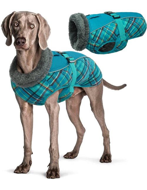 Ropa para Perros, Chaqueta XL para Perros, Abrigo para Perro Impermeable, Abrigos para Perros 