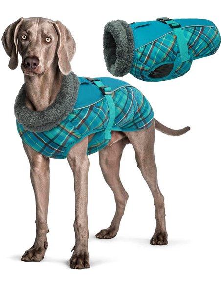 Ropa para Perros, Chaqueta XL para Perros, Abrigo para Perro Impermeable, Abrigos para Perros 