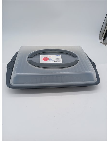 kela Caja rectangular para transportar aperitivos y pasteles 45 x 30 x 9 cm DELI, caja de plástico con asas, para pasteles, magd