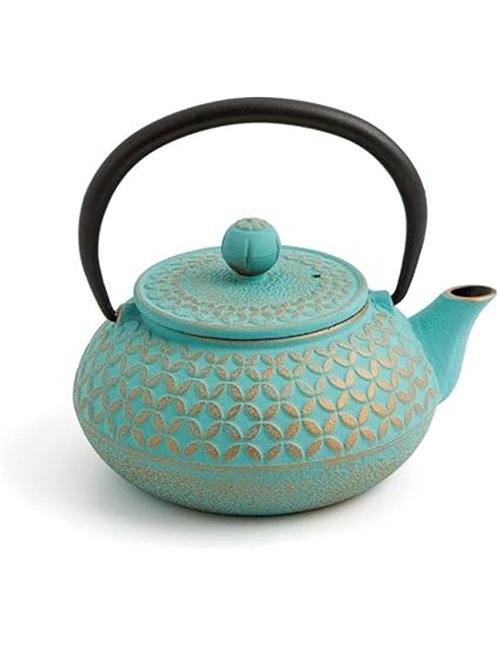 IRON TEAPOT WITH FILTER