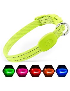 Illumifun Collar de perro LED para cachorro, collar de luz recargable por USB, collar de nailon ligero brillante para tus cachor
