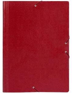Liderpapel CG27 - Carpeta planos