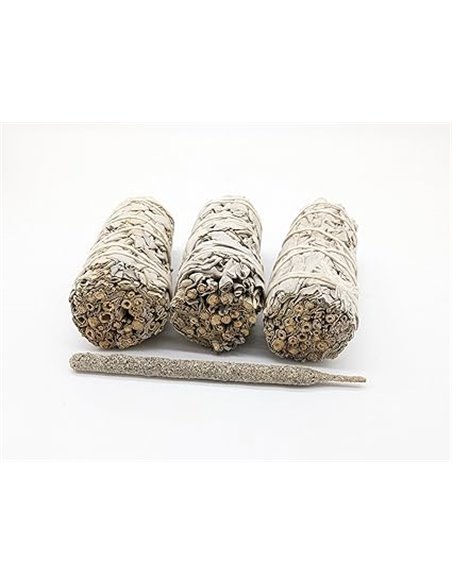 Salvia Blanca - Atados de Salvia Apiana 100% Natural de 10cm | Limpieza Energética y Protección | Ideal para Ceremonias Espiritu