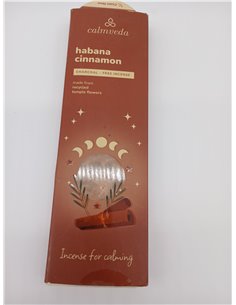 Bakhoor Oud Incienso Arabe - (40+ Varitas, 9 Pulgadas) Sin Carbòn Incienso Resina, Chips de Oudh Assam | inciensos Naturales sin 2