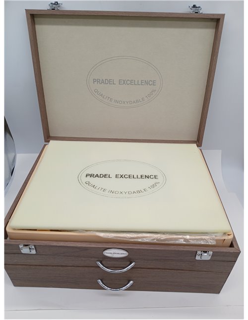 Pradel Excellence D635C-113 - Cubertería combinada, Acero inoxidable, Color Plata