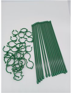 GEBETTER 10* Tutores para Plantas 30cm + 20* Bridas Ajustables Color Verde, Varillas Plantas Palos Estacas Fibra de Vidrio Sopor 2