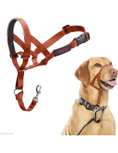 Collar Ronzal HALTI talla 3- para Evitar Que tu Perro Tire de la Correa, Ajustable con Banda de Nariz Acolchada.