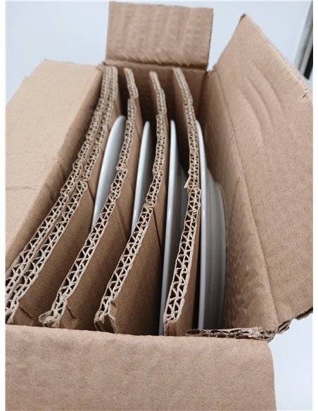 Amazon Basics platos llanos, 6 Unidad, 26.7 cm