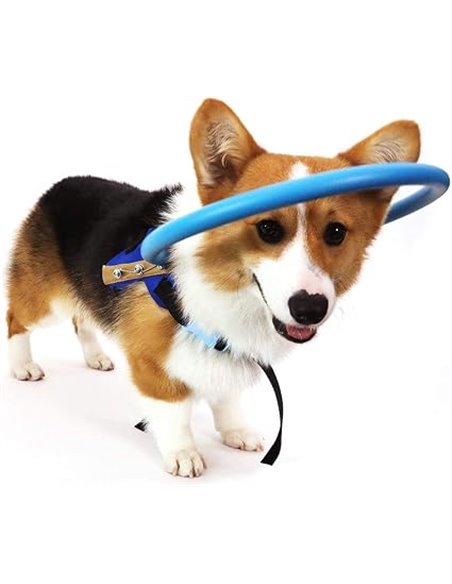 Arnés para Perro Ciego Chaleco Protector para Perros con Ojos Enfermos para Evitar Colisiones M