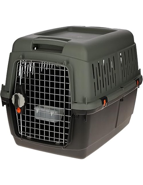 Kerbl - Caja de Transporte ecológica, Color Gris y Verde, 70 x 50 x 51,5 cm