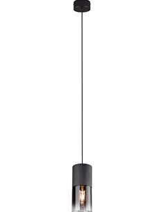 Trio Lighting 310600132 Robin - Lámpara de techo colgante, metal negro mate, cristal ahumado, 1 bombilla E27