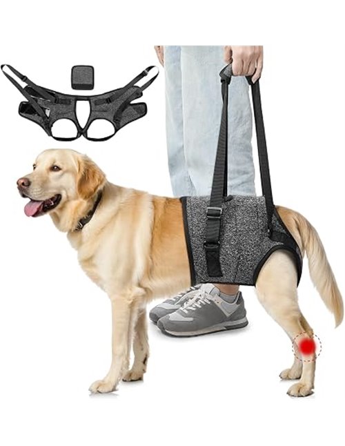 SlowTon Arnés de Soporte para Patas Traseras para Perros Medianos y Grandes - Arnés Elevador Ajustable y Cómodo para Perros Anci
