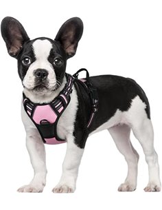 rabbitgoo Arnes Perro Pequeño, Arnes Perro Antitirones Coche con Lineas Reflecantes, Chaleco Acolchado Ajustable Transpirable co